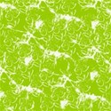 jThompson_lime_paper3