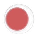 white circle frame