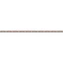 Dino_Ribbon_4