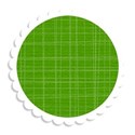 jennyL_school_scallop2