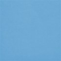 jennyL_school_paper5