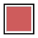 frame1