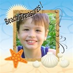 beach treasures 1 beach treasures 1