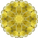 jThompson_lime_tile2