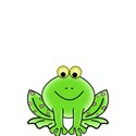 green frog1