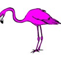 pink birdflamingo2