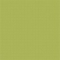 PP22-sdots-mikki