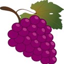 purple grapes