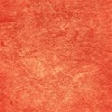 lisaminor_koko_paper_f