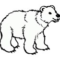 white polar bear