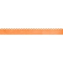 kitc_pet_borderorange