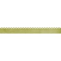 kitc_pet_bordergreen
