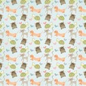 kitc_pet_paper15