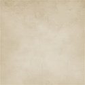 kitc_pet_papersol5