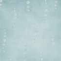 kitc_pet_paper1