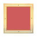 Plastic Double Frames - 03