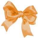 ribbon bow orange
