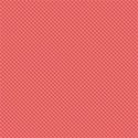PP2-gingham-mikki
