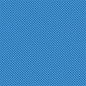 PP10-gingham-mikki