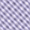 PP11-gingham-mikki