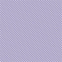 PP11-gingham-mikki