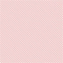 PP13-gingham-mikki
