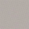 PP15-gingham-mikki