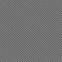 PP19-gingham-mikki