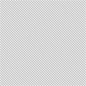 PP20-gingham-mikki
