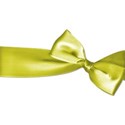 bow wrap 5