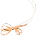 ribbon 01