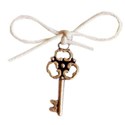 tied key