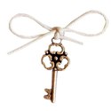 tied key