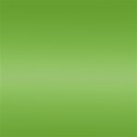 lime Green Frame 