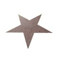 hollywood star