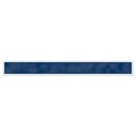 ribbon3