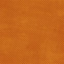PP16_fallish_mikki