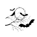 Bat sky