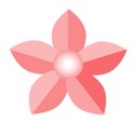 flower pink