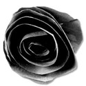 paperflowerblack