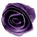 paperflowerpurple