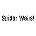 spider webs -b