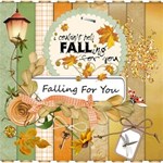 Falling For You Falling For You
