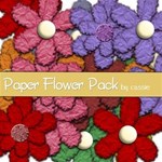 Paper Flowers Embellishments