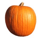 pumpkin_2