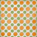 paper dotty