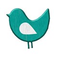 bird5