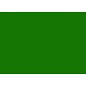 snowflakegreen background 2 insert