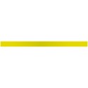 Goldish Yellow Stripe