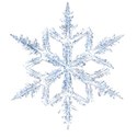 snowflake 04